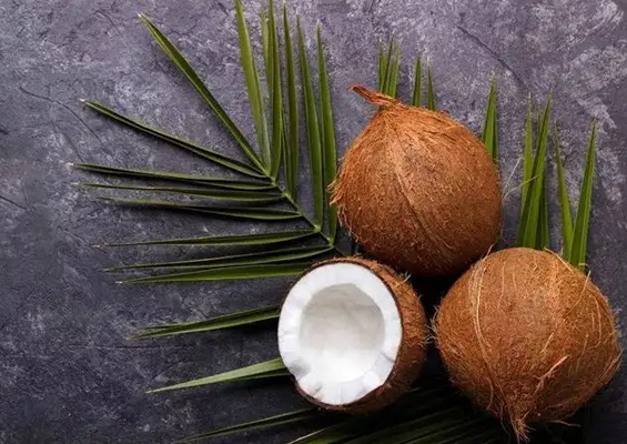 Introduction to the use of coconut meal