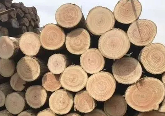 South American timber (authorized general agent in China)