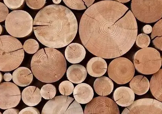 South American timber (authorized general agent in China)
